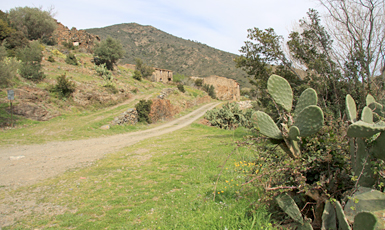 Colera, Veïnat de Molinà